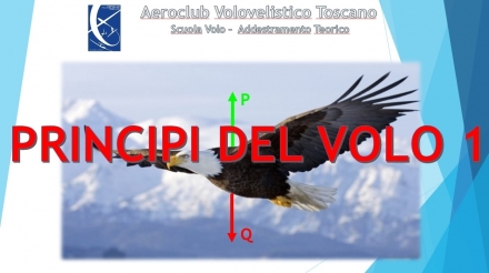 Materia Specifica Aliante EASA n°5 - Principi del volo (lezione 1/3) - AEROCLUB VOLOVELISTICO TOSCANO