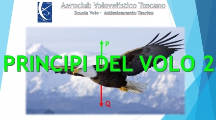 Materia Specifica Aliante EASA n°5 - Principi del volo (Lezione 2/3) - AEROCLUB VOLOVELISTICO TOSCANO
